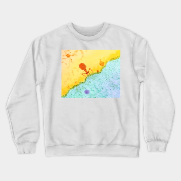 Coloured TEM of T4 bacteriophage infecting E. coli (M090/0075) Crewneck Sweatshirt by SciencePhoto